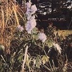 Icon Juliana's Pony: Total System Failure