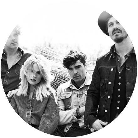 Icon The Common Linnets