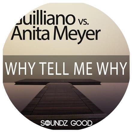 Why Tell Me Why Lyrics - Anita Meyer, Guilliano - Only on JioSaavn