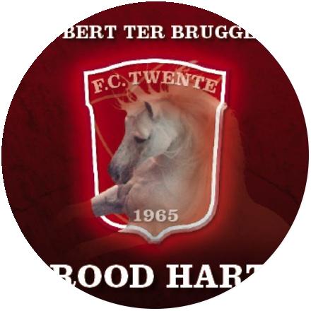 Icon Bert ter Brugge