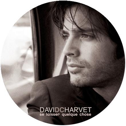 Icon David Charvet