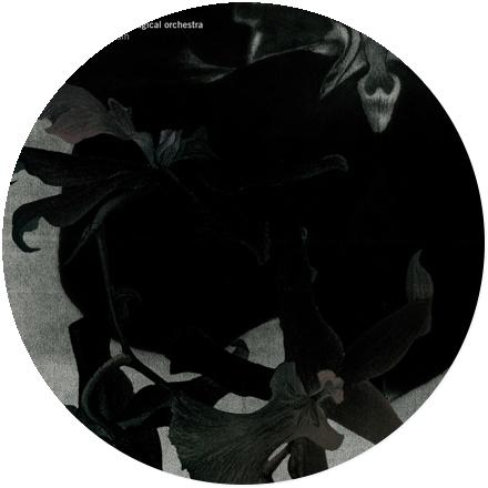 Icon Susanna and the Magical Orchestra