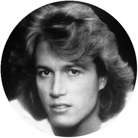 Icon Andy Gibb